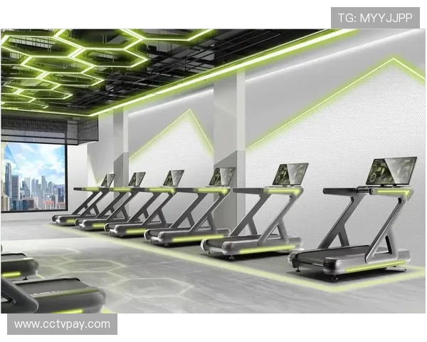 高端健身器材选购指南：设计、功能与品牌全面比较