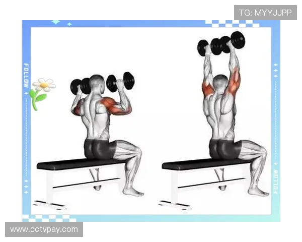 推举健身器材正确使用方式及常见错误姿势纠正 推举健身器材正确使用方式及常见错误姿势纠正