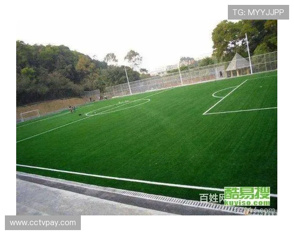 足球隔离带与草坪维护设备的协同工作模式