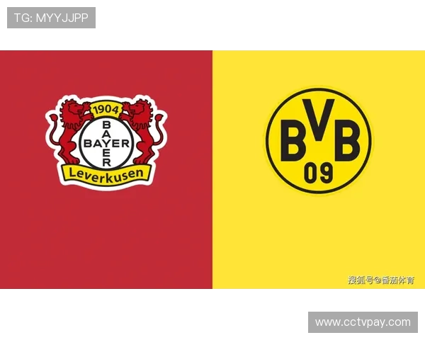 德甲球队名字格式全面指南，助您轻松识别各大俱乐部