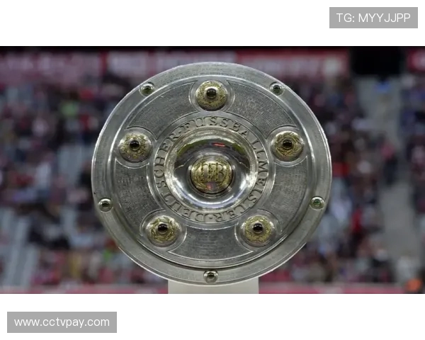 德甲甲级联赛全部足球队名称一览表及其历史由来