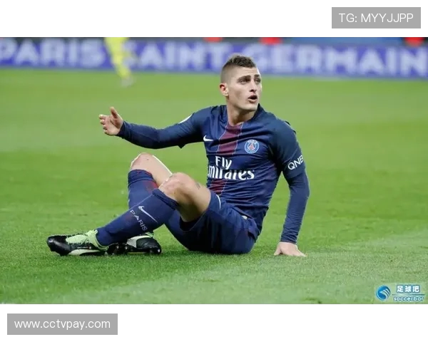 法甲俱乐部管理制度及成功管理案例分享