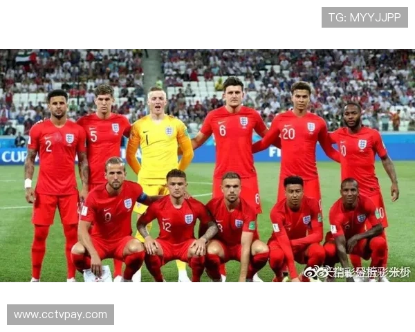 英格兰和比利时英超球员数量及贡献度分析 英格兰和比利时英超球员数量及贡献度分析