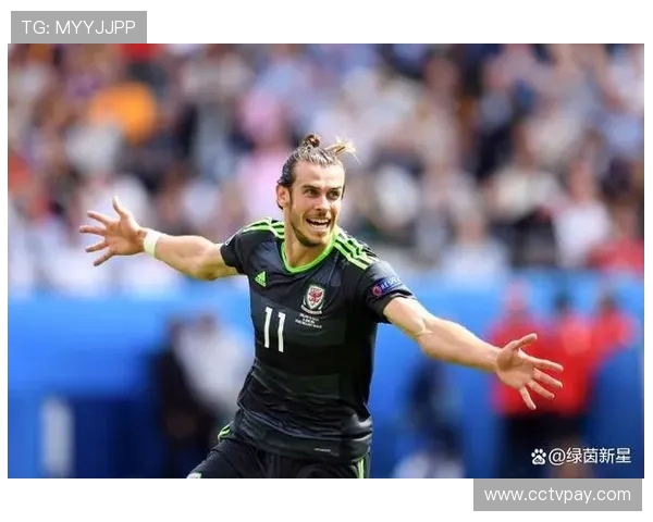 贝尔职业生涯回顾：为何被认为是英超最佳球员之一